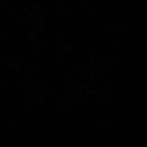 Meet your Posher, Lucy